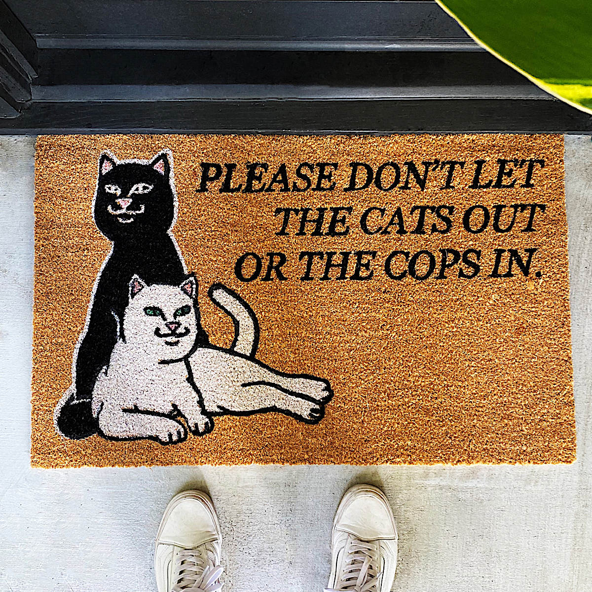 Don't Let The Cops In Rug (Brown) - Image 2