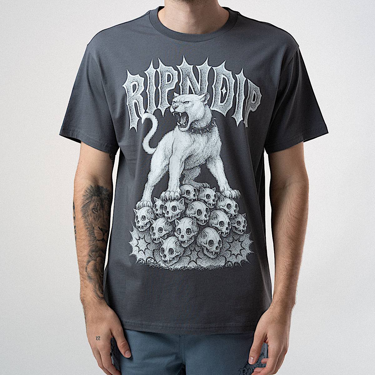 Wasteland Tee (Charcoal) - Image 2
