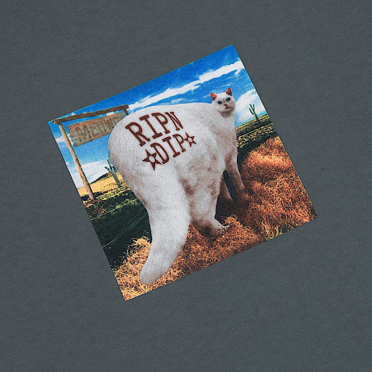 Rowdy Howdy Tee (Charcoal) - Image 3