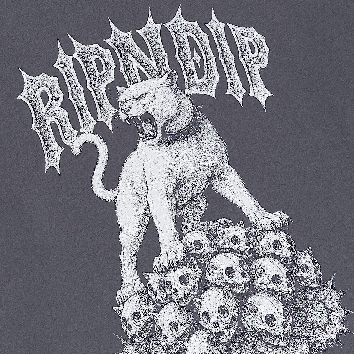 Wasteland Tee (Charcoal) - Image 3