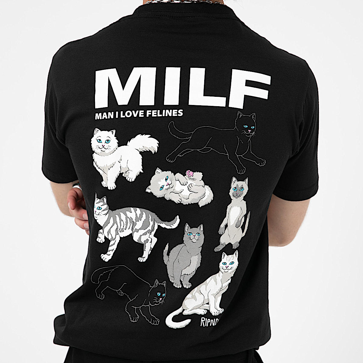 Man I Love Felines Tee (Black) - Image 3