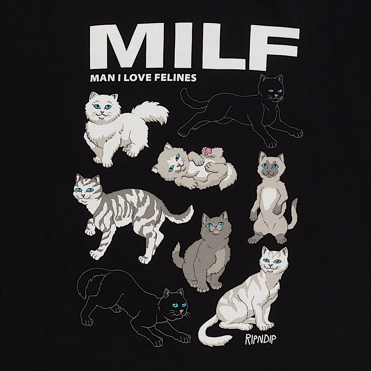 Man I Love Felines Tee (Black) - Image 5